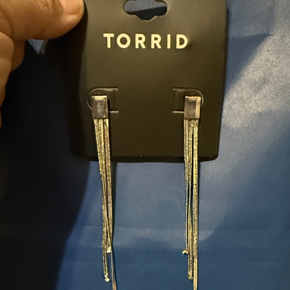 Torrid Silver Linear Earrings